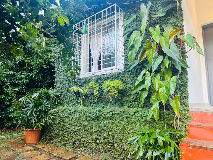 Misty Homestay Premium